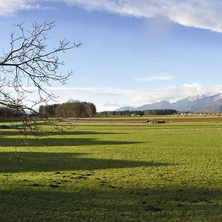 Angel's Nest Komenda