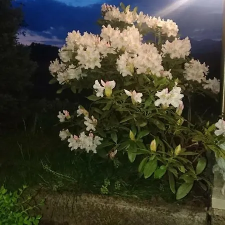 Διαμέρισμα Angel's Nest